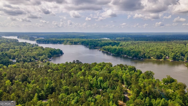 aerial view with a forest view and a water view