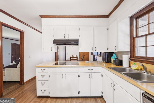 1240 C M Copelan Rd, Madison, GA 30650 - kitchen featuring under cabinet range hood, a sink, ornamental molding, black electric cooktop, and white cabinetry