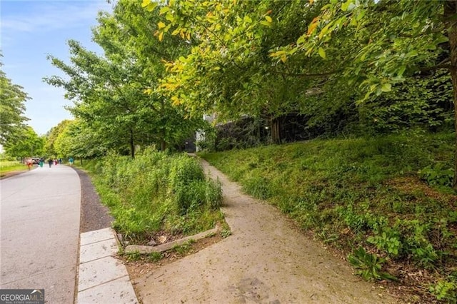821 Ralph Mcgill Blvd NE Unit 2113, Atlanta, GA 30306 - view of property's community