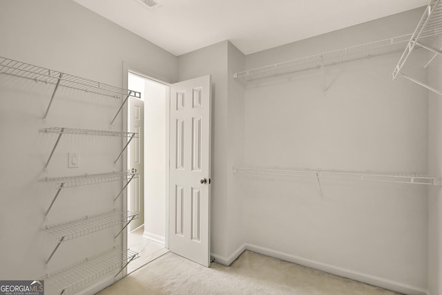 spacious closet featuring carpet flooring