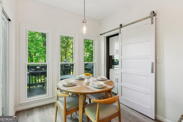 sunroom featuring a barn door