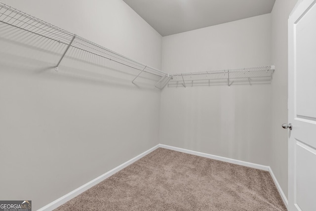spacious closet with carpet flooring