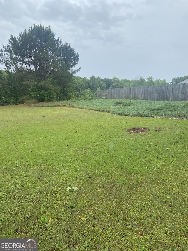 248 Fern Ct, Hampton, GA 30228 - view of yard with fence