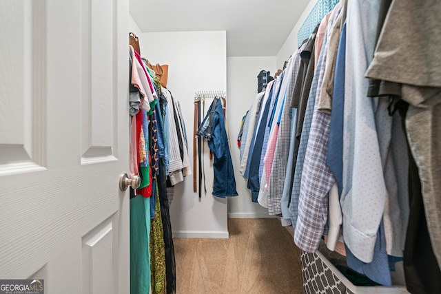 spacious closet with carpet