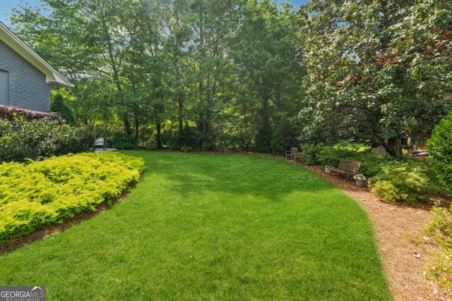 view of green lawn