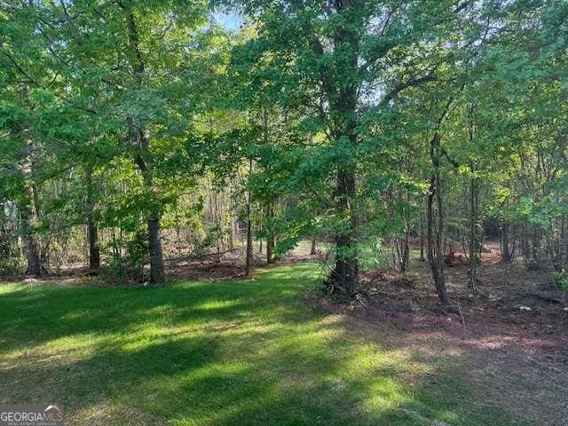 236 Dewaters Rd, Commerce, GA 30529 - view of green lawn
