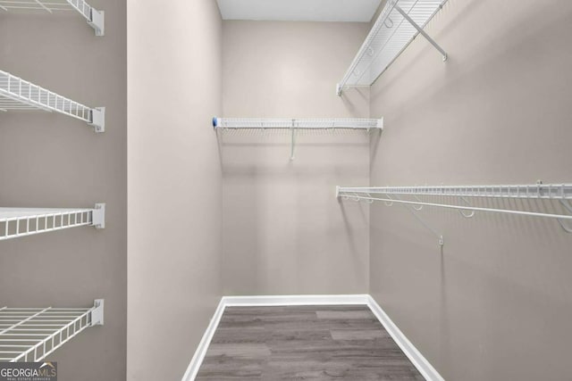 spacious closet with wood finished floors