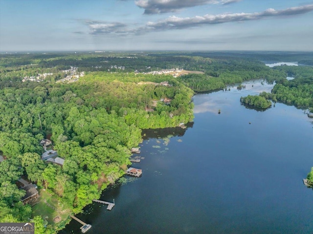 aerial view featuring a water view and a forest view