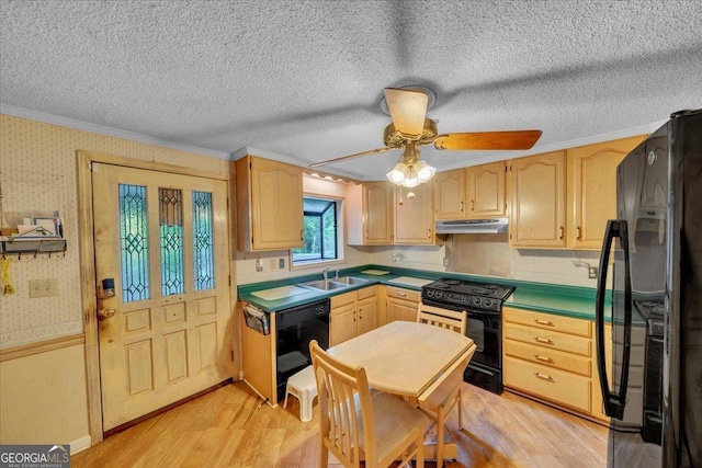 kitchen featuring under cabinet range hood, ornamental molding, light wood finished floors, a sink, and black appliances