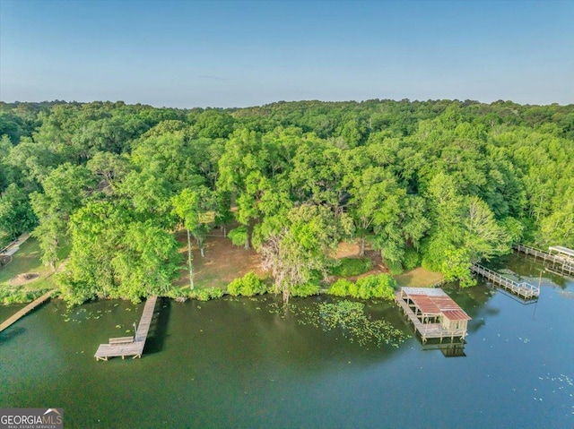 aerial view featuring a water view and a forest view