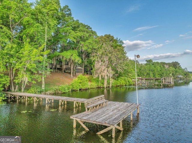 dock area featuring a water view