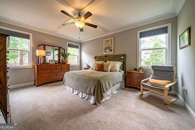 13 Jamilee Cv, Cartersville, GA 30120 - bedroom featuring crown molding, carpet flooring, baseboards, and multiple windows