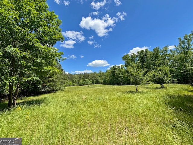 view of landscape featuring a forest view
