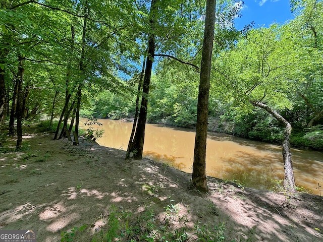 view of local wilderness