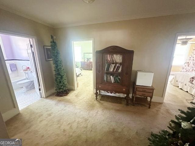 327 W Church St, Swainsboro, GA 30401 - living area featuring ornamental molding, carpet, and baseboards
