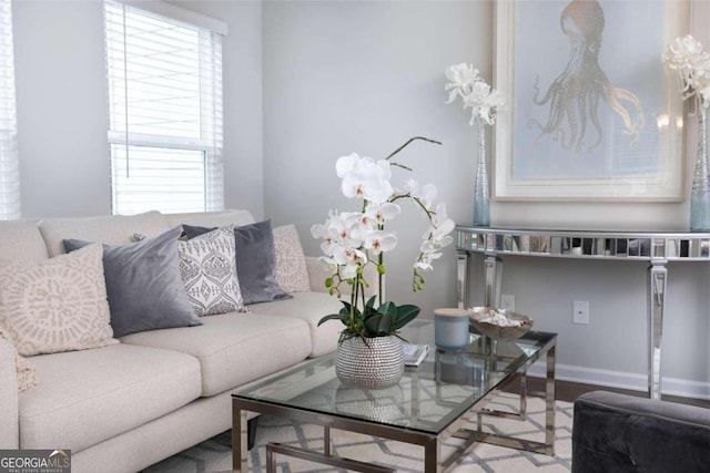 living room featuring baseboards and wood finished floors