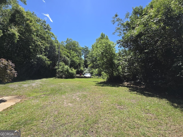 863 Boulevard, Macon, GA 31211 - view of yard