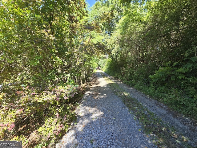 863 Boulevard, Macon, GA 31211 - view of road with a view of trees