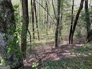 0 Bald Mountain Rd, Sky Valley, GA 30537
