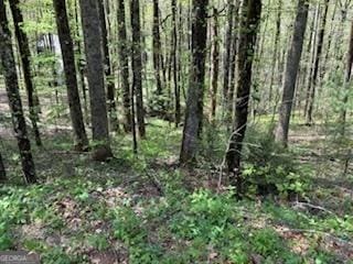 0 Bald Mountain Rd, Sky Valley, GA 30537