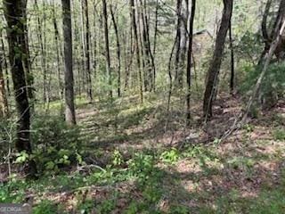 0 Bald Mountain Rd, Sky Valley, GA 30537