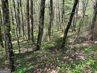 0 Bald Mountain Rd, Sky Valley, GA 30537