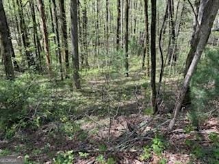 0 Bald Mountain Rd, Sky Valley, GA 30537