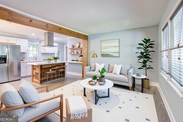 3627 Groovers Lake Rd, Lithia Springs, GA 30122 - living room featuring light wood-type flooring and baseboards