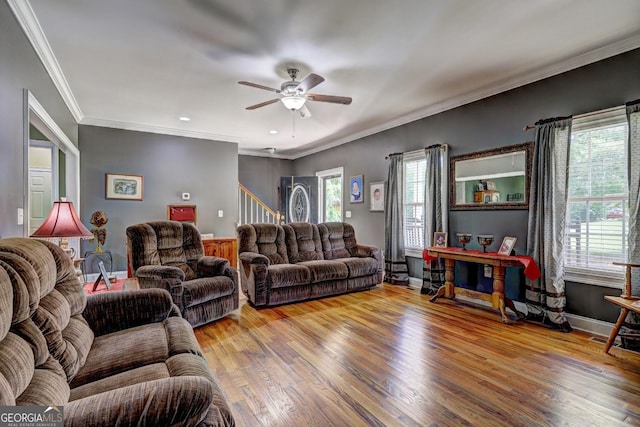 living room featuring ceiling fan, ornamental molding, and wood finished floors