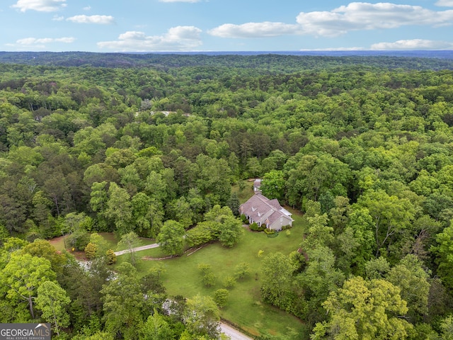 6125 Fouts Mill Rd, Douglasville, GA 30135 - aerial view with a wooded view