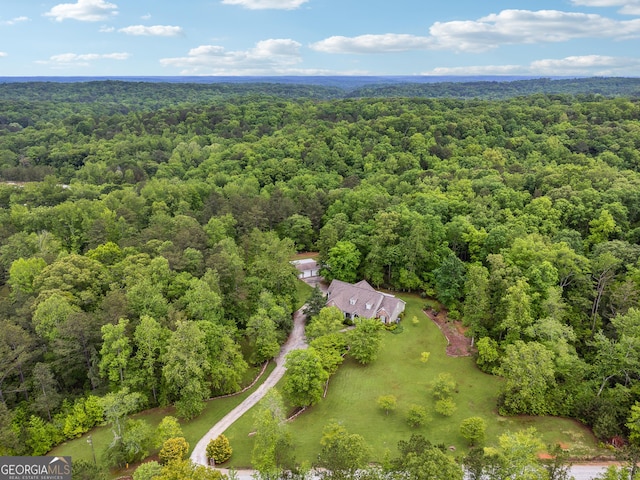 6125 Fouts Mill Rd, Douglasville, GA 30135 - aerial view with a wooded view