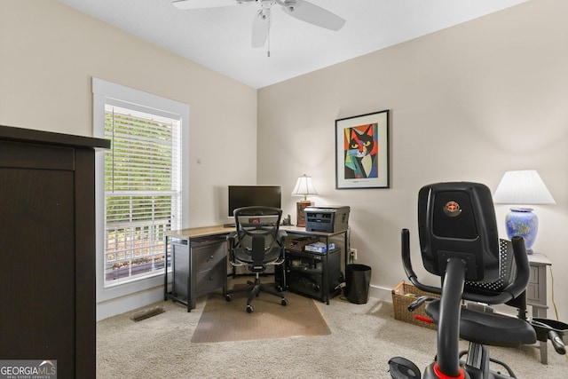 1261 Otter Slide Loop NE, Townsend, GA 31331 - carpeted home office with plenty of natural light, ceiling fan, and baseboards