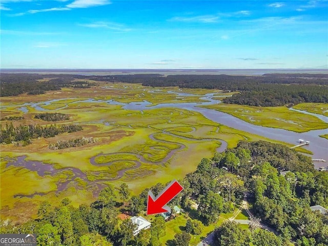 1261 Otter Slide Loop NE, Townsend, GA 31331 - aerial overview of property's location featuring a nearby body of water and a forest