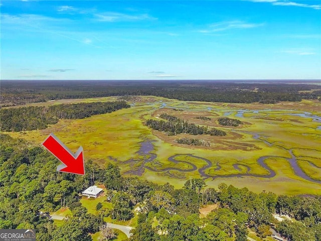 1261 Otter Slide Loop NE, Townsend, GA 31331 - aerial view of property and surrounding area featuring a forest