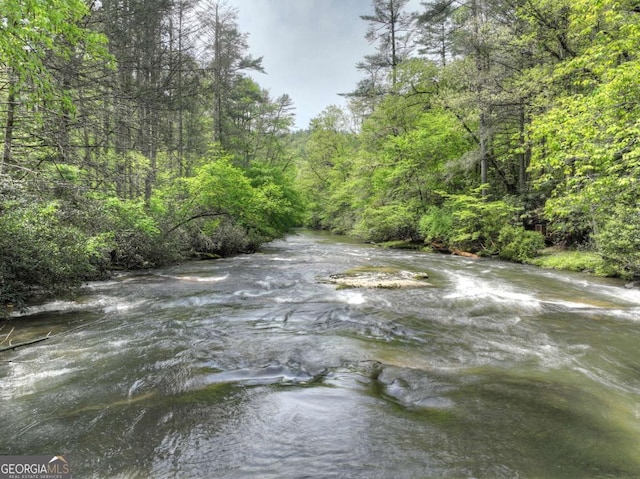 water view featuring a forest view