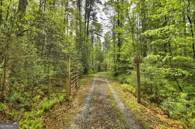 view of road with a wooded view
