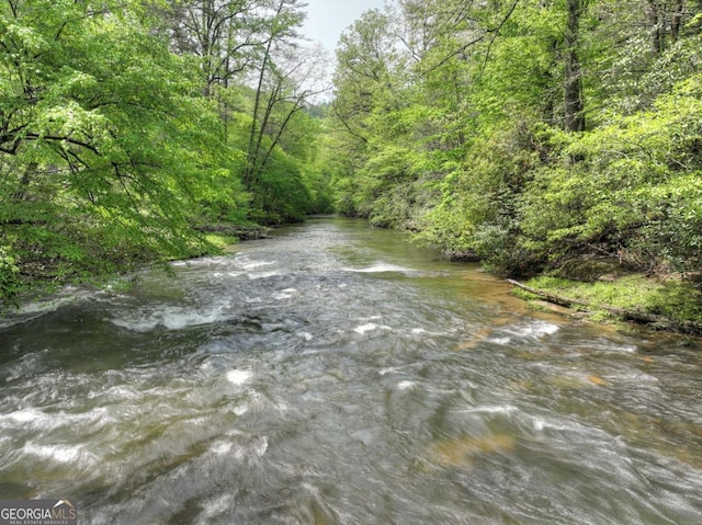 property view of water with a wooded view