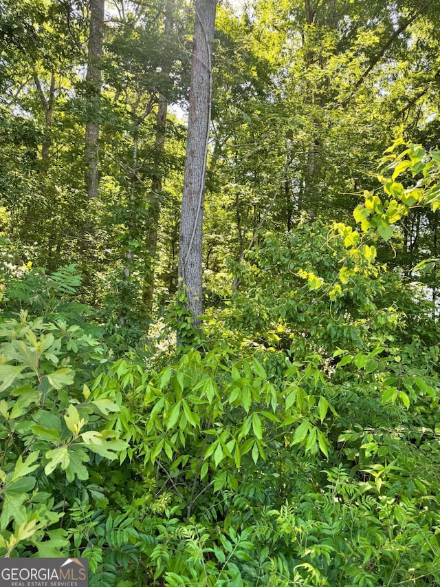 0 Carbondale Rd, Dalton, GA 30721