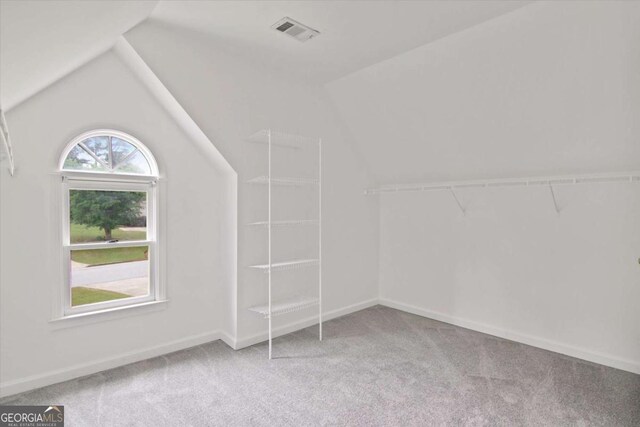 additional living space featuring vaulted ceiling, carpet, baseboards, and visible vents