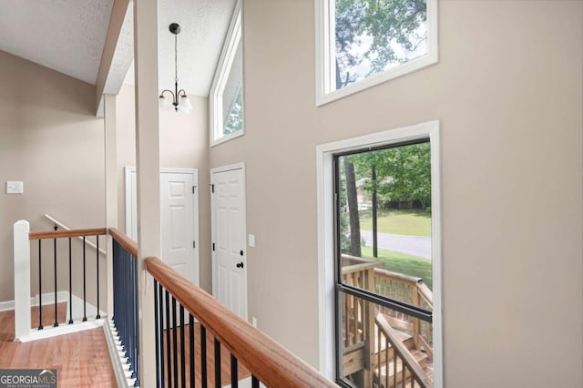 entrance foyer featuring an inviting chandelier, plenty of natural light, wood finished floors, and high vaulted ceiling