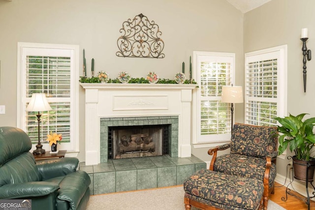 17 Hampton Way, Carrollton, GA 30116 - interior space featuring lofted ceiling and a tile fireplace