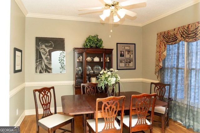 17 Hampton Way, Carrollton, GA 30116 - dining area with wood finished floors, ceiling fan, and crown molding
