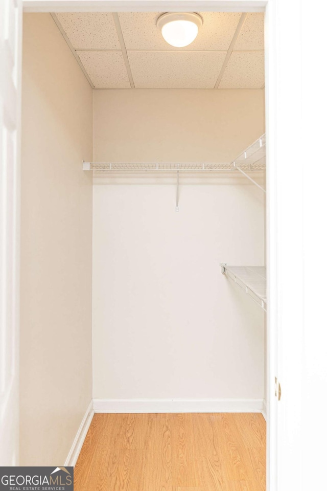 17 Hampton Way, Carrollton, GA 30116 - spacious closet featuring light wood-style flooring and a drop ceiling