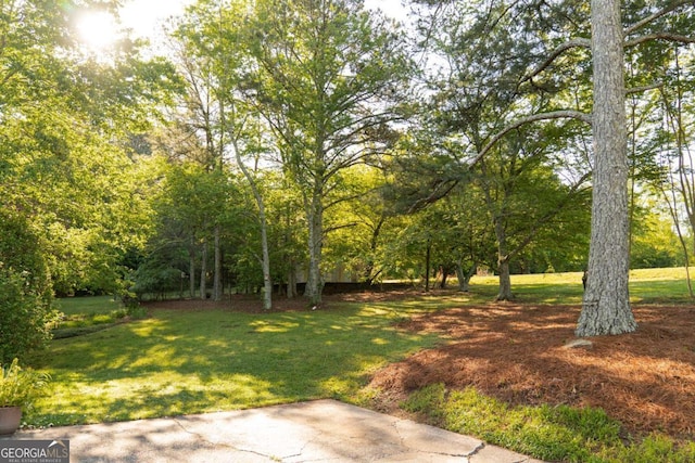 17 Hampton Way, Carrollton, GA 30116 - view of green lawn with a patio