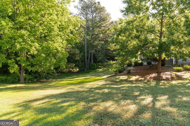 17 Hampton Way, Carrollton, GA 30116 - view of yard