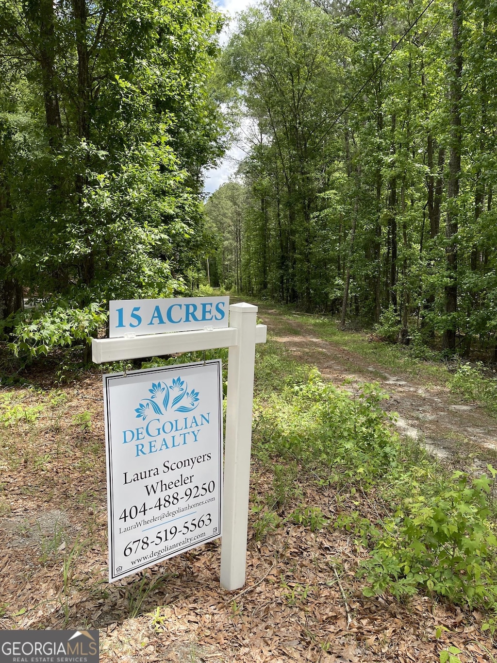 0 Mann Rd, Tyrone, GA 30290