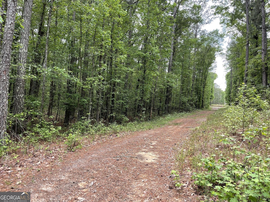 0 Mann Rd, Tyrone, GA 30290