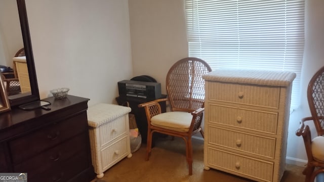 sitting room with carpet