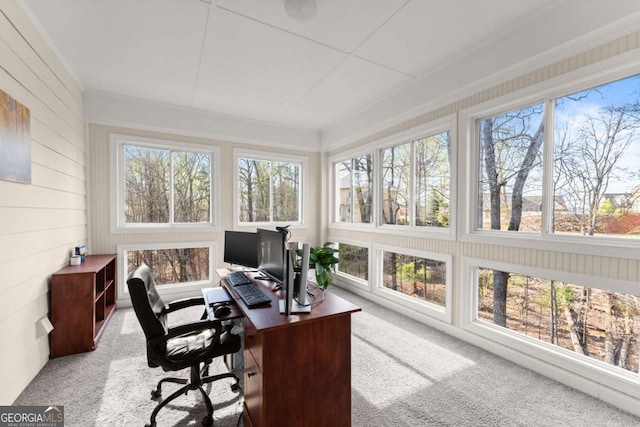 3498 Westhampton Way, Gainesville, GA 30506 - home office featuring wooden walls, crown molding, and carpet