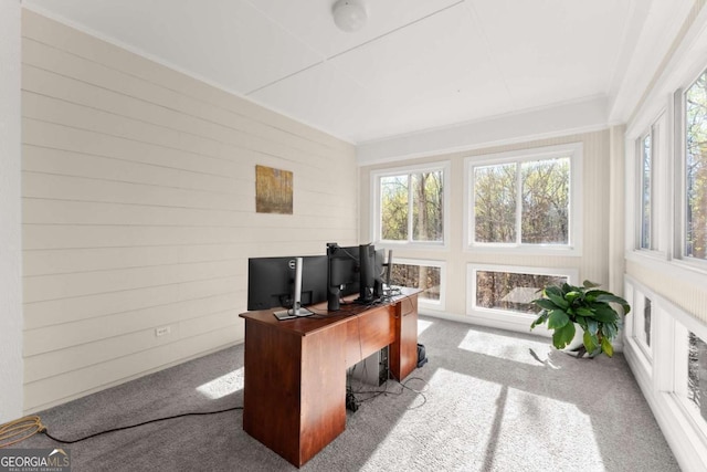 3498 Westhampton Way, Gainesville, GA 30506 - carpeted home office featuring wood walls and plenty of natural light